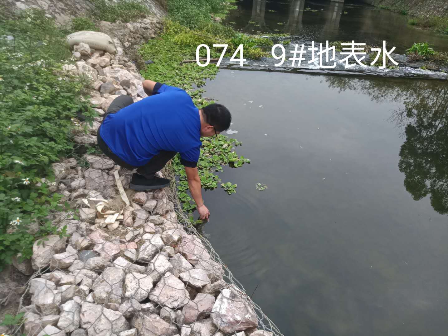 1273466833.jpg