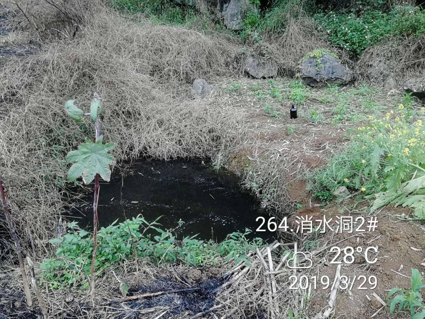 QQ图片20190428151757.jpg