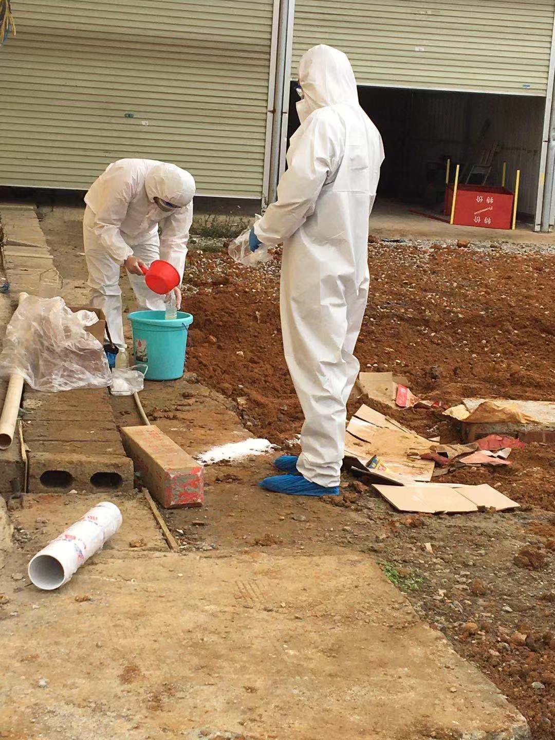 青秀区那平江4#（龙胤凤凰城)污水直排口专项整治项目废水监测